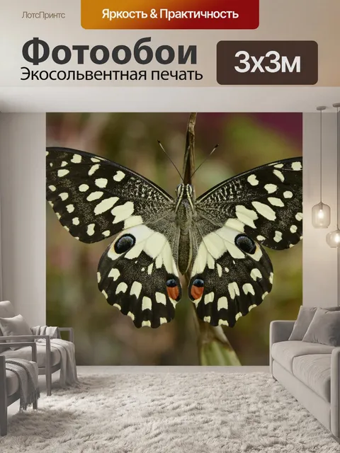 Фотообои Бабочка
