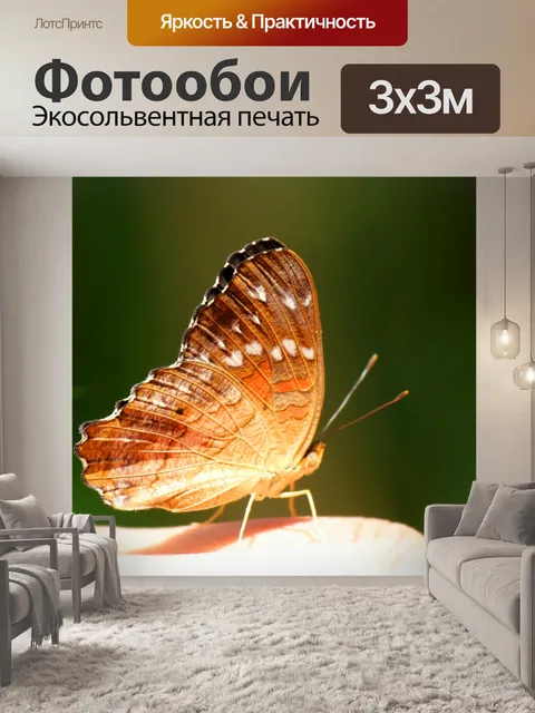 Фотообои Бабочка профиль