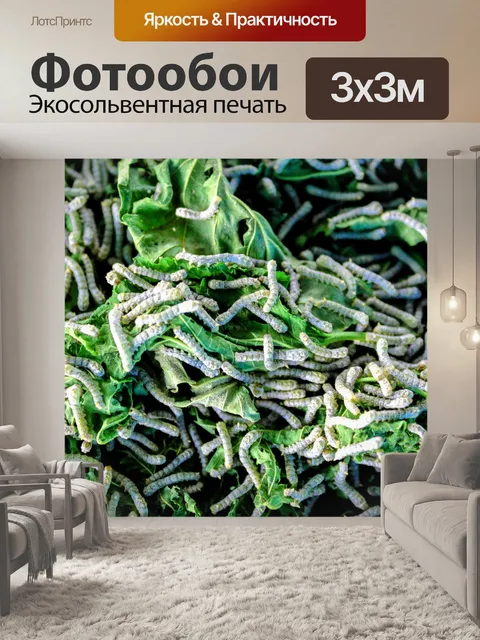 Фотообои Шелкопряд ест листья шелковицы