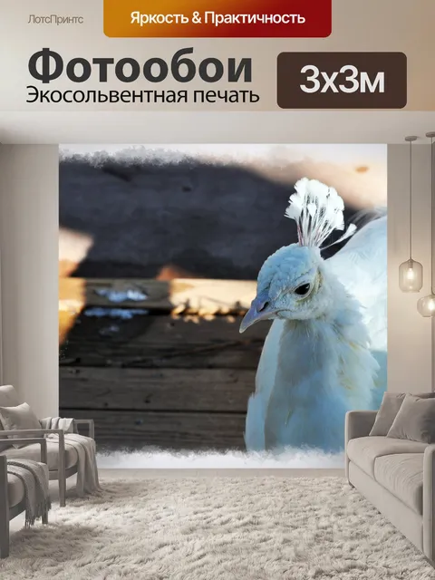 Фотообои Белый павлин