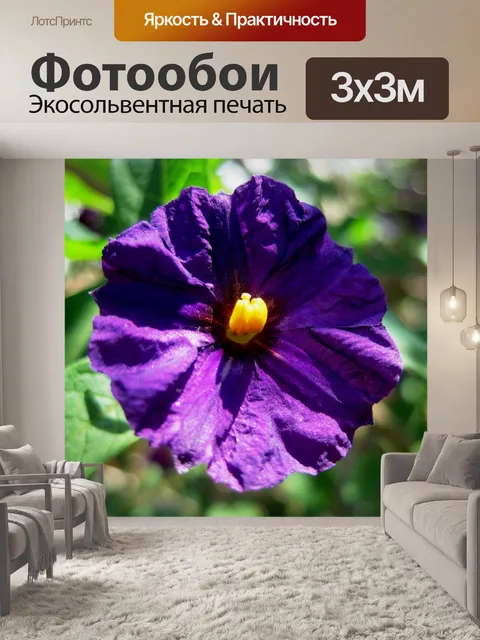 Фотообои картофель куст цветение