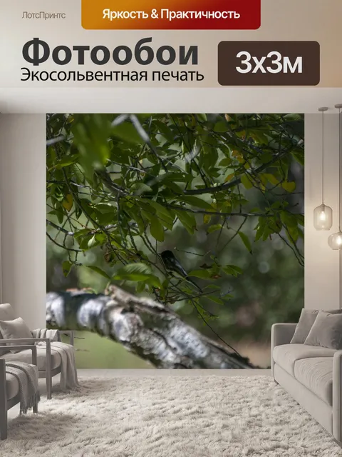 Фотообои Птица в дереве