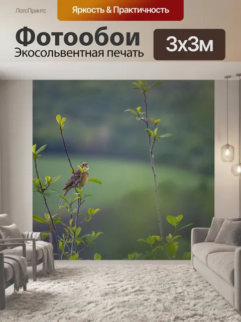 Фотообои Yellowhammer