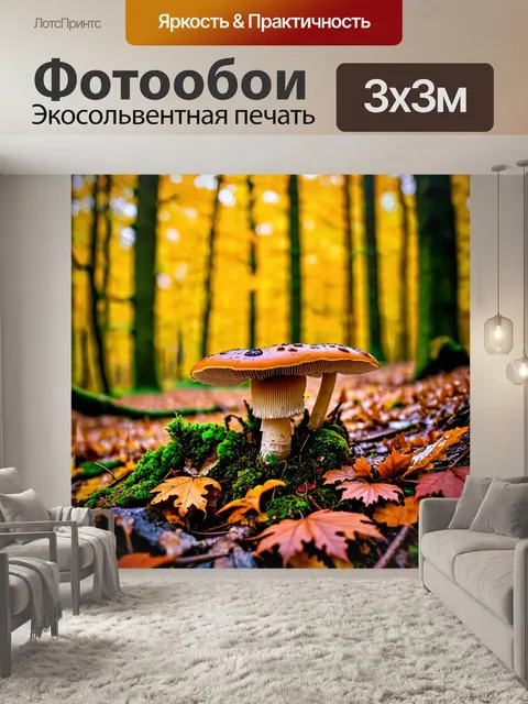 Фотообои грибы лес, осенний лес с яркой листвой и грибами, которые контрастируют с цветами, пестрые
