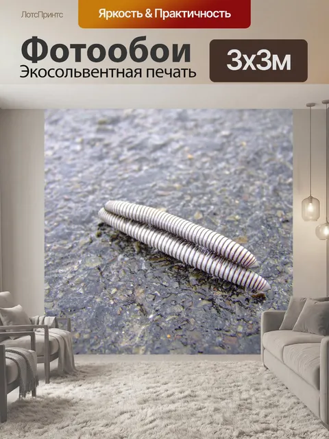 Фотообои Черви