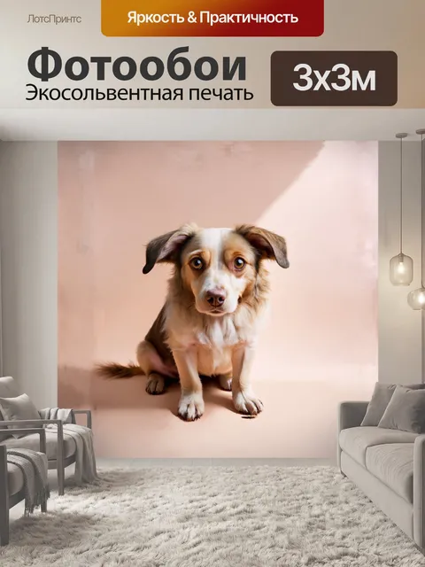 Фотообои собака с большими, выразительными глазами, покрытая мягкой шерстью, сидит на фоне нежного пастельного цвета