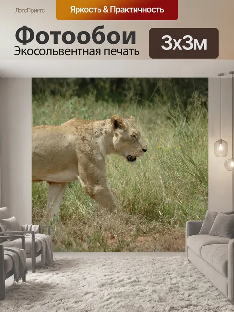 Фотообои Львица