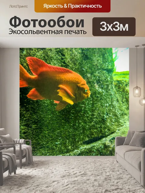 Фотообои Большая золотая рыбка