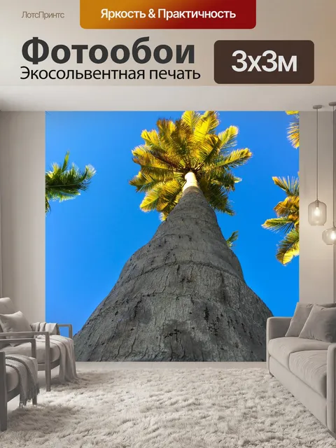 Фотообои Пальмы и небо