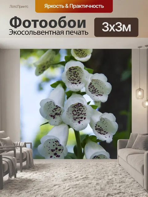 Фотообои Макет