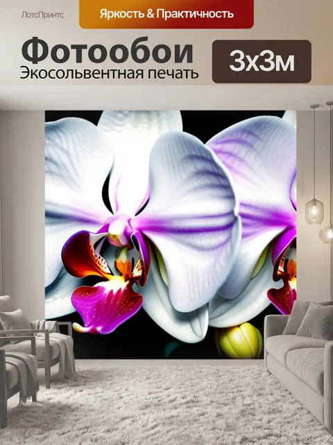 Фотообои с орхидеями