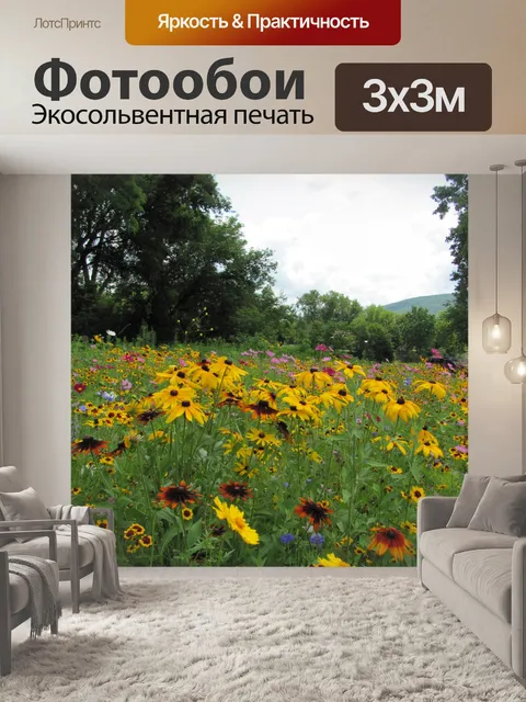 Фотообои Летние цветы