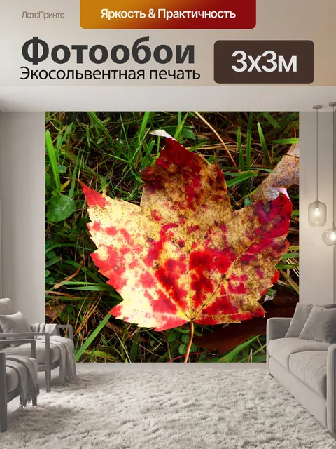 Фотообои Желтый красный кленовый лист