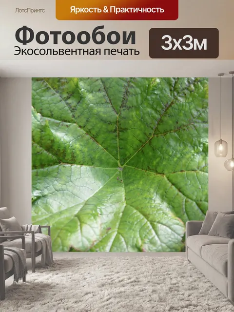 Фотообои Зеленый лист