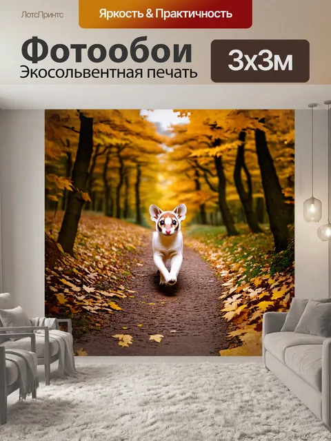 Фотообои горностай перебегает через лесную тропинку