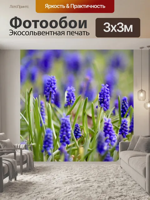 Фотообои Жемчужные гиацинты
