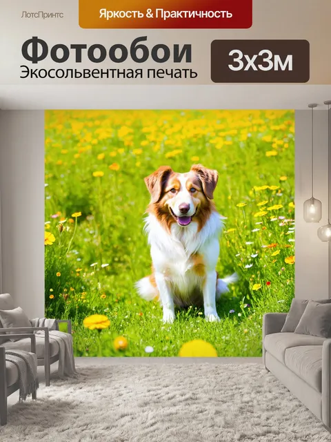 Фотообои собака, сидящая на зеленом лугу, рядом с яркими цветами, солнечный день, с бело-коричневой шерстью и…