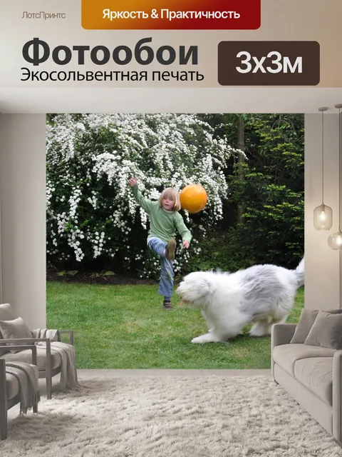 Фотообои Выстрелил