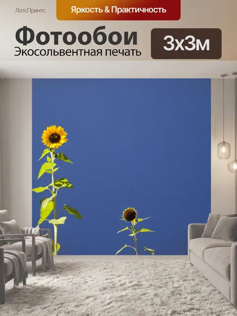 Фотообои Подсолнухи