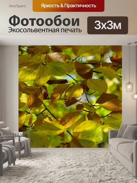 Фотообои Листья