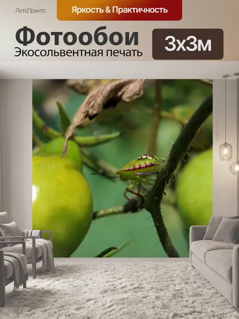 Фотообои розовое и зеленое насекомое на помидоре