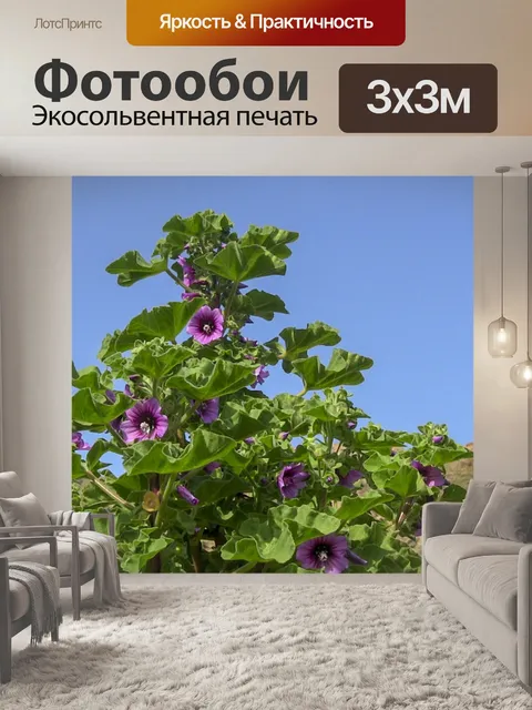 Фотообои Фиолетовый цветок Буш
