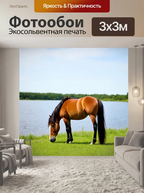 Фотообои пони на пастбище, ест траву рядом с озером