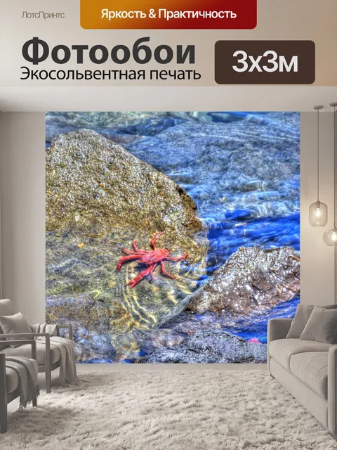 Фотообои Красный краб