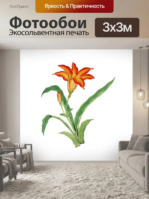 Фотообои Клипарт Lily flowers vintage