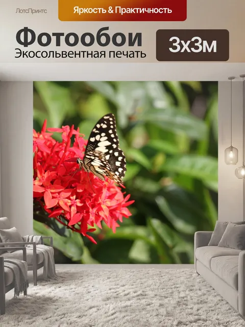 Фотообои черная белая бабочка на красный цветок