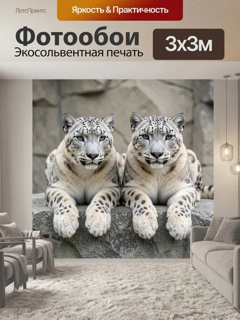 Фотообои Два снежных леопарда на камне