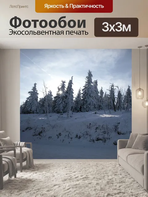 Фотообои Зима