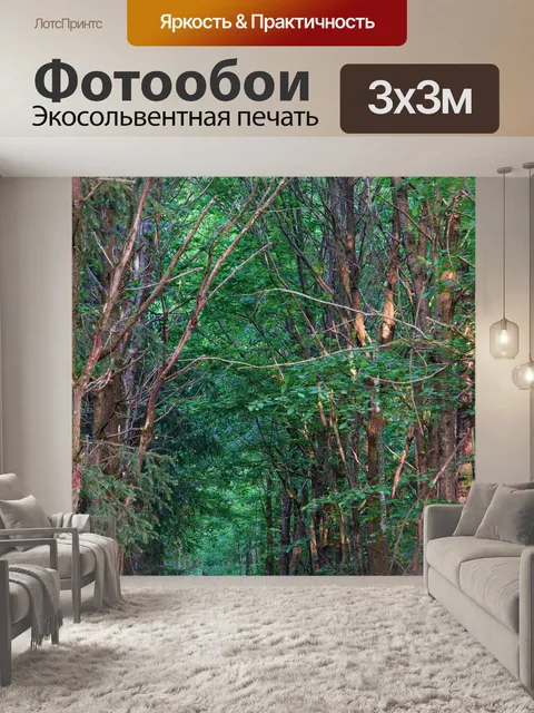 Фотообои Лес