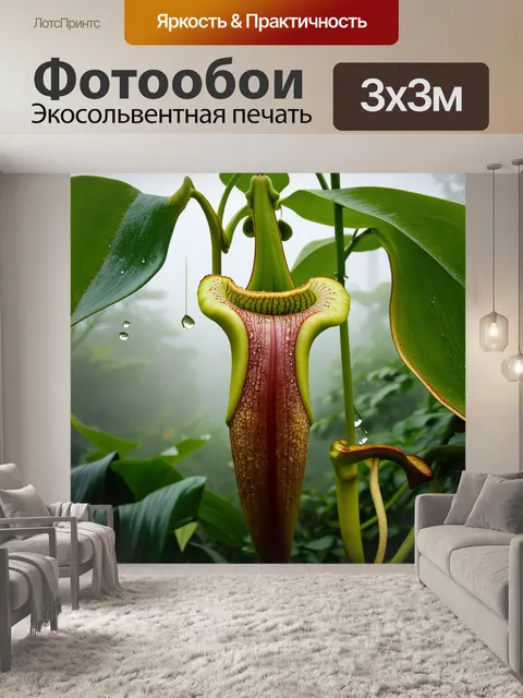 Фотообои непентес, красующийся в ботаническом саду будапешта, окруженный утренним туманом