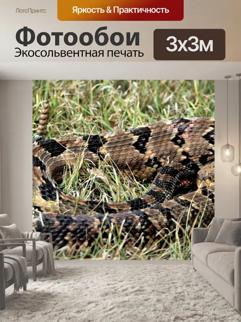 Фотообои Бархатный хвост Rattlesnake крупным план