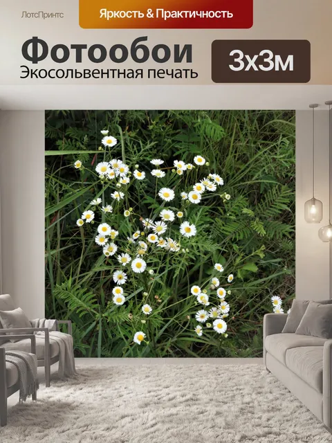 Фотообои Дейзи Флибейн Полевые цветы в поле
