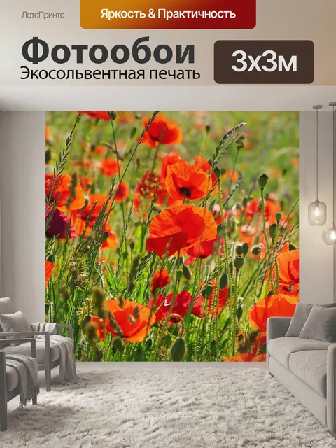Фотообои Маковое поле