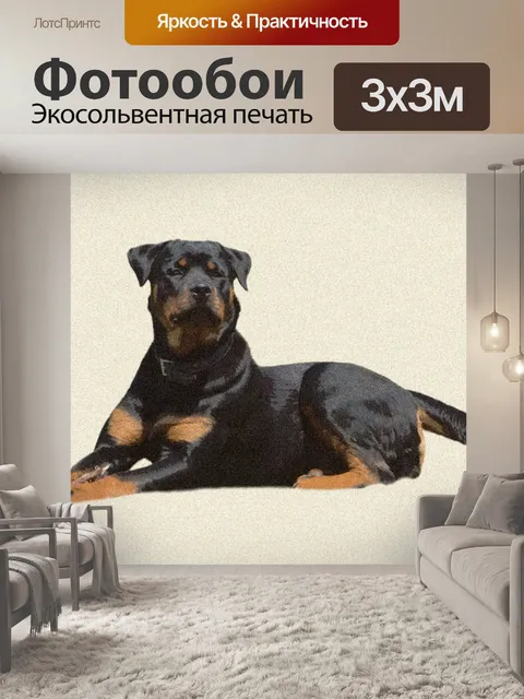 Фотообои Собака