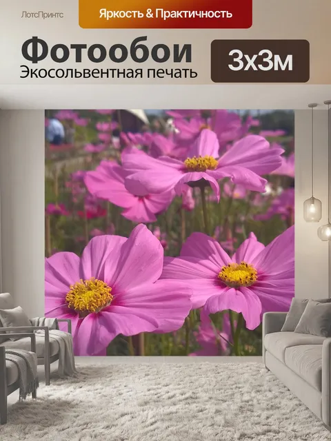 Фотообои Фиолетовый ромашки