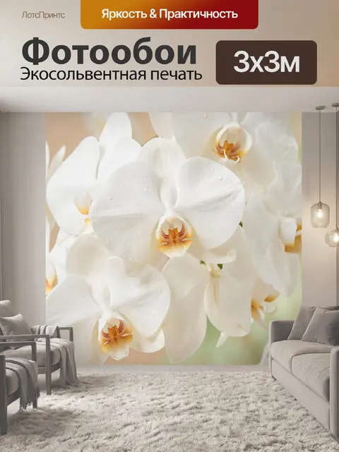 Фотообои Белые орхидеи с каплями росы