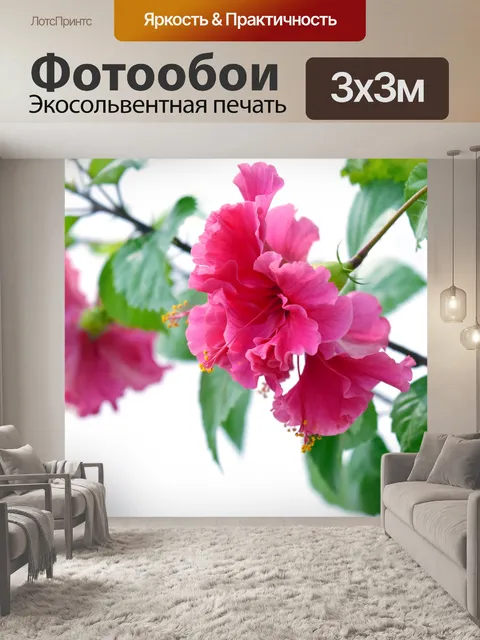 Фотообои Гибискус 11