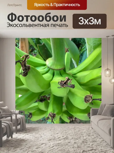 Фотообои Растущие бананы