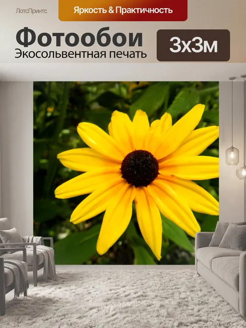 Фотообои Рудбекия