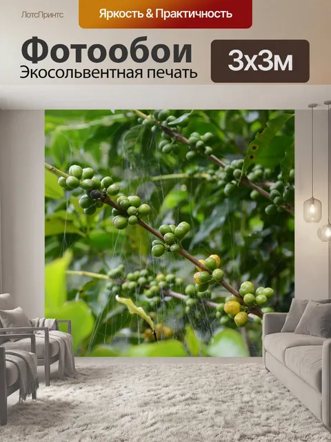 Фотообои Кофе