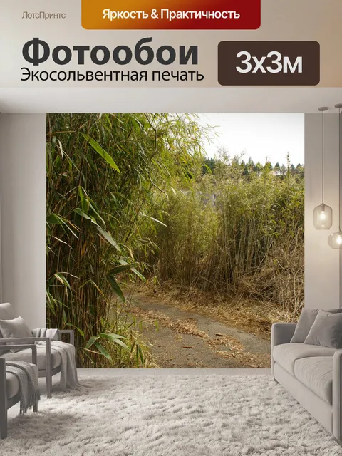 Фотообои Бамбуковый лес