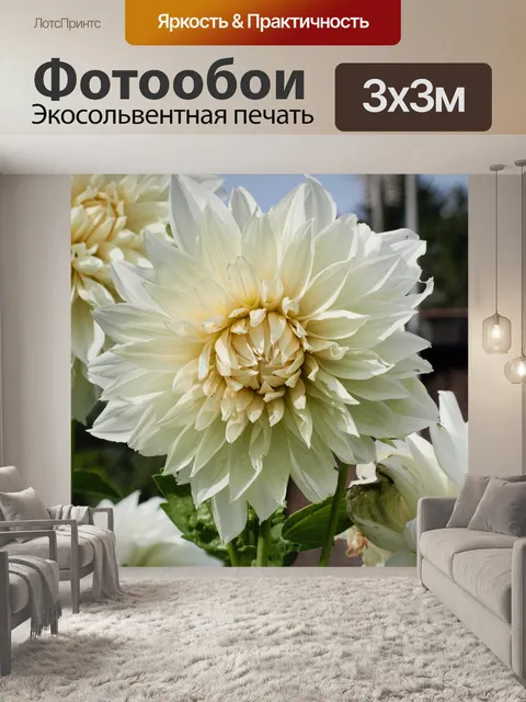 Фотообои Далия с неба