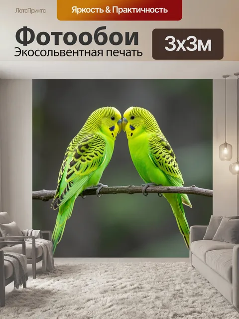 Фотообои Два зеленых волнистых попугая