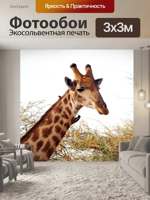 Фотообои Жирафа