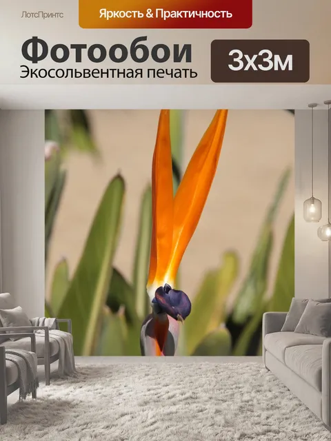 Фотообои Хвостатые