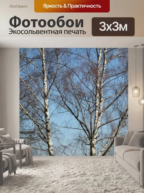 Фотообои Березы